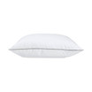Fresh and Cool Allergy Protection Standard/Queen Pillow