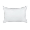 Fresh and Cool Allergy Protection Standard/Queen Pillow