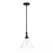 Drake 1-Light Pendant Light