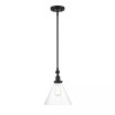 Drake 1-Light Pendant Light