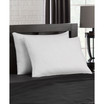 Gussetted Soft Plush Down Alternative Stomach Sleeper Pillow, Standard - Set of 2