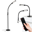 Vista LED 3-in-1 Gooseneck Floor and Desk Lamp with Remote Control
