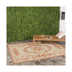 Courtyard Natural and Terra 5'3" x 7'7" Outdoor Area Rug