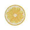 Frontporch Lemon Slice 3' x 3' Round Outdoor Area Rug