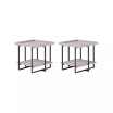 Darkan 1 Shelf End Table, Set of 2