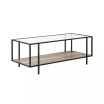 Vireo Coffee Table with Shelf, 45" x 20"