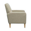 Juno 30.5" Wide Upholstered Accent Armchair