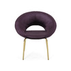 Pincay Modern Glam Accent Chair