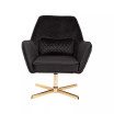 Diana Contemporary Lounge Chair