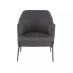 Daniella Contemporary Accent Chair