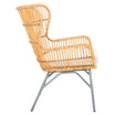Lenu Rattan Accent Chair with Cushion