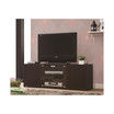 Chandler TV Console with 2 Magnetic-Push Doors