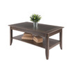 Santino 18.03" Wood Coffee Table