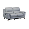 Lizette Reclining Loveseat