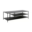 Ernest Coffee Table, 48" x 20"