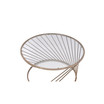 Bluelipe Coffee Table