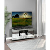 2-Door TV Console