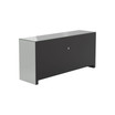 2-Door TV Console