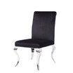 Fabiola Side Chair, Set of 2