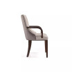 Shubert 22.5" L Beech Wood Faux Leather and Velvet Upholstered Dining Armchair