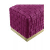 Satine Woven Bench with Metal Base