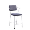 Cargo Counter Height Chairs, Set of 2