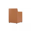 Anna 22.83" L Faux Leather Upholstered Square Dining Armchair