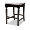 Darcie Counter Stool (Set of 2)