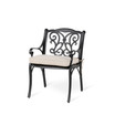 Set of 4 Olefin Fabric Cast Aluminum Dining Chairs With Cushions and Alternative Cushion Covers