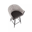 Braided Matisse Contemporary Counter Stool, Set of 2