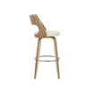 Cecina Mid-Century Modern Barstool with Swivel, Set of 2