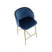 Fran Contemporary Counter Stool, Set of 2