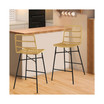 Set of 2 Rattan Bar Stools Counter Height Dining Chairs with Metal Leg