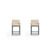 Ambassador Counter Stool, Set of 2