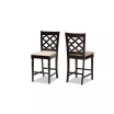 Ramiro Modern and Contemporary Transitional Wood Counter Stool Set, 2 Piece