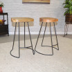 Sublime Counter Stool (Set Of 2)