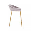 Matisse Velvet Counter Stool - Set of 2