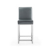 Element 24" Counter Stool, Set of 2