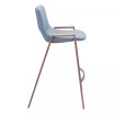 Desi Counter Chair, Set of 2