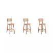 Versailles 3-Piece Ash Wood and Natural Cane Counter Height Bar Stool