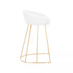 Canary Upholstered Counter Stool, Set of 2