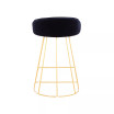 Canary Upholstered Counter Stool, Set of 2
