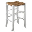 Linon Home Decor Katica Counter Stool, Set of 2