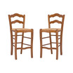 Linon Home Decor Antun Counter Stool, Set of 2