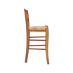 Linon Home Decor Antun Counter Stool, Set of 2