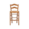 Linon Home Decor Antun Counter Stool, Set of 2
