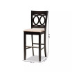 Carson Modern and Contemporary Fabric Upholstered 2 Piece Bar Stool Set