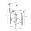 Antonio Bar Stool