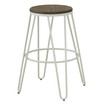 Mandy Farmhouse Bar Stool (Set of 2)