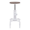 Hydra Barstool